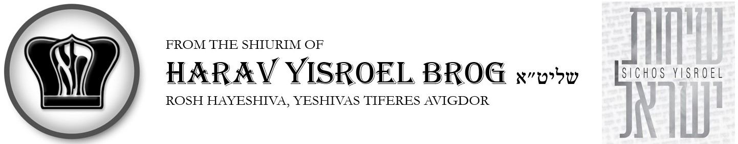 Sichos YIsroel (HaRav Yisroel Brog)